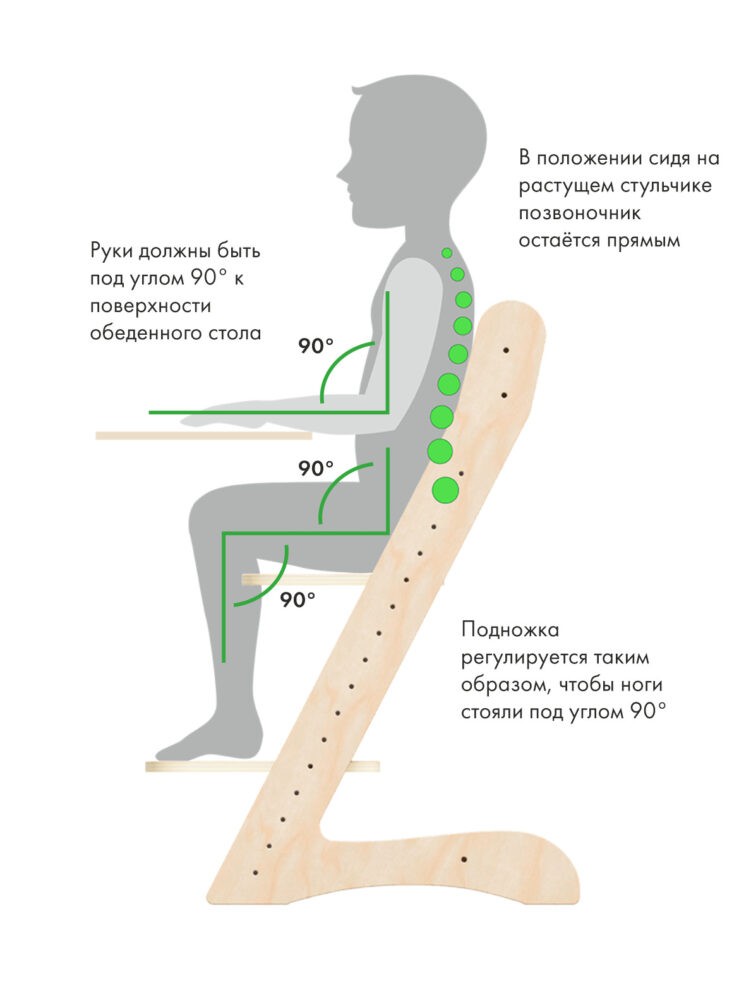 Соотношение стула к столу